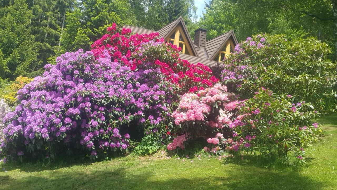 Chalet Bellevue Rogla Zreče エクステリア 写真