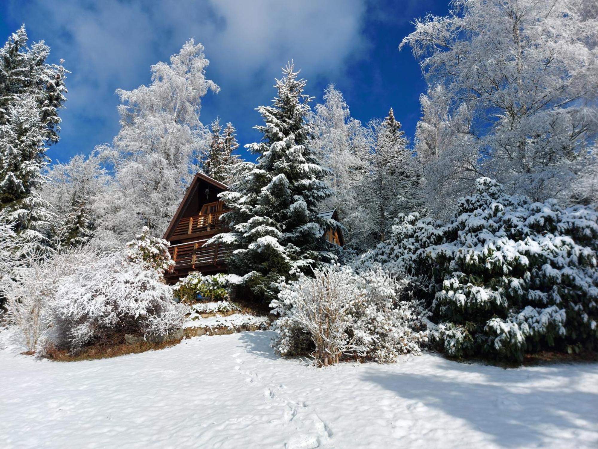 Chalet Bellevue Rogla Zreče エクステリア 写真
